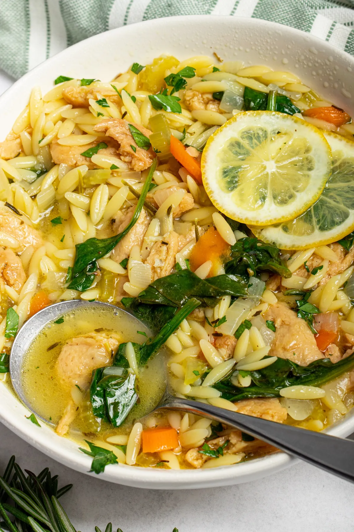 Vegan Orzo Soup